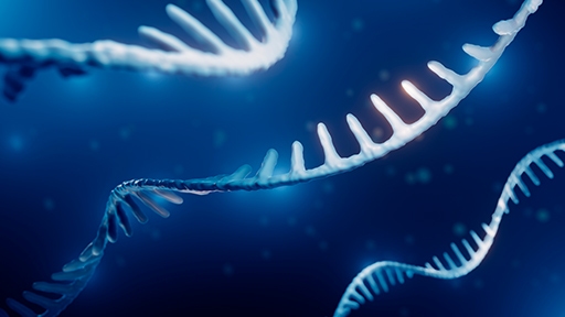 miRNA Analysis