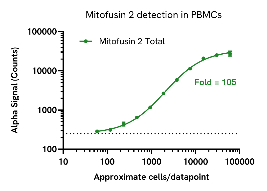 Detection of Mitofusin 2 in primary cells