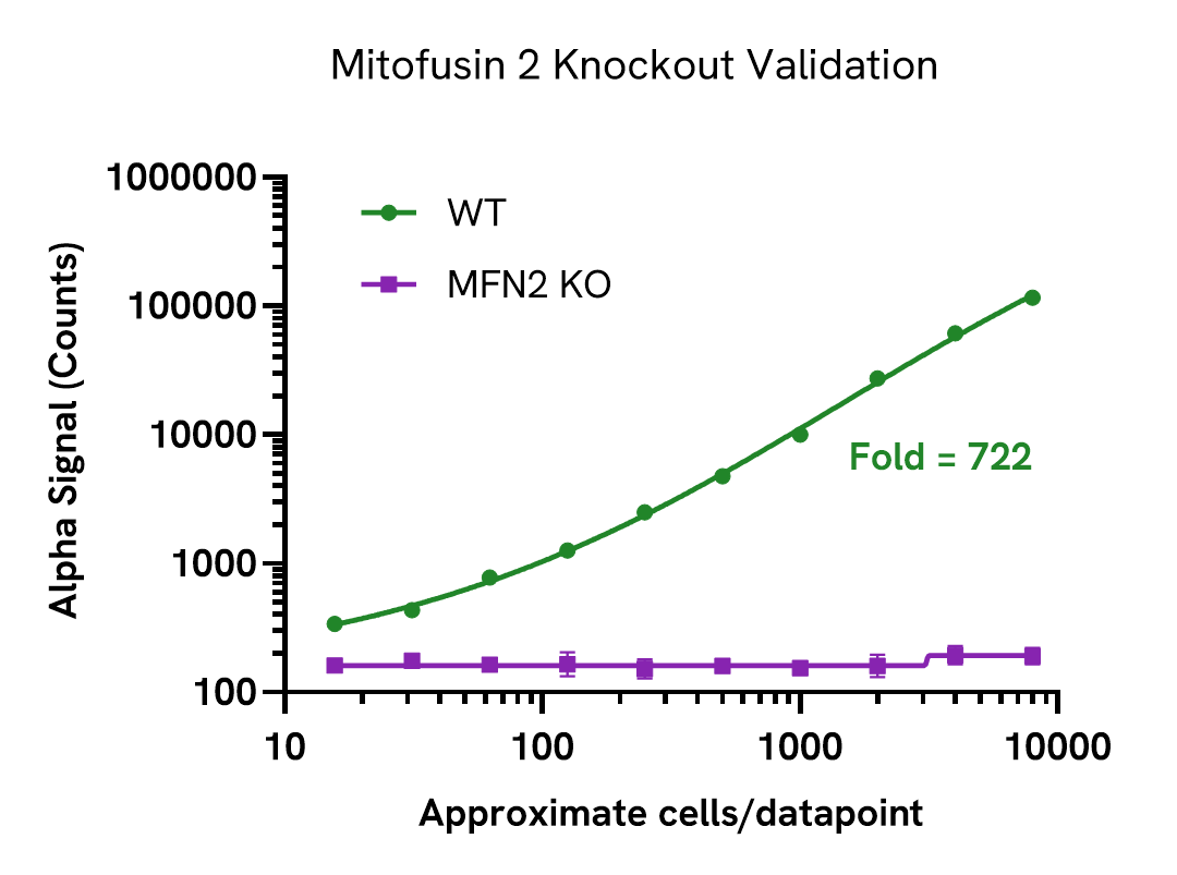 Specificity validation of Mitofusin 2 Total assay