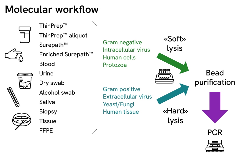 img-molecular-workflow