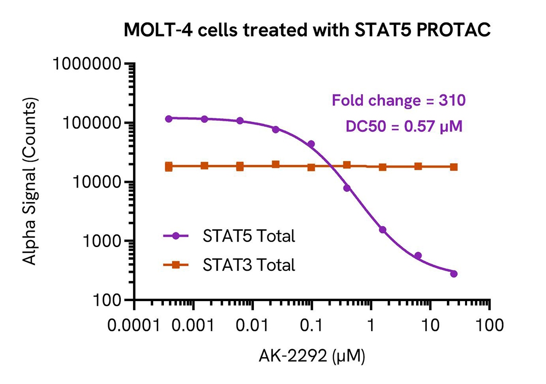 img-molt-4-cells-treated-with-stat5-protac-alsu-tst5-a.jpg