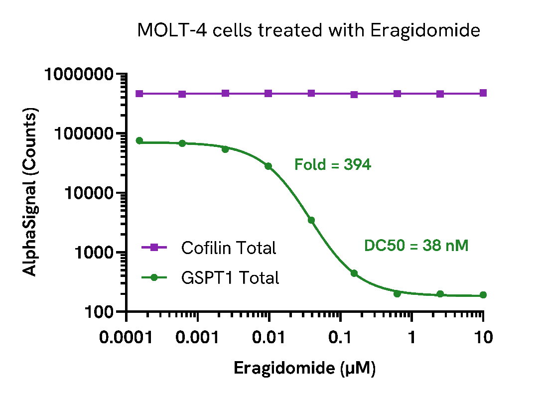GSPT1 degradation using molecular glue compounds