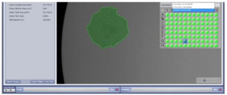 img-monitoring-growth-and-viability-4.PNG
