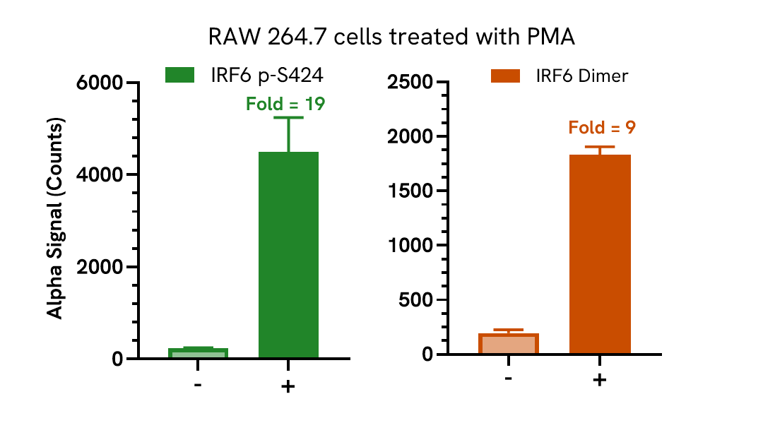 Pharmacological validation (activation) of IRF6 Dimer
