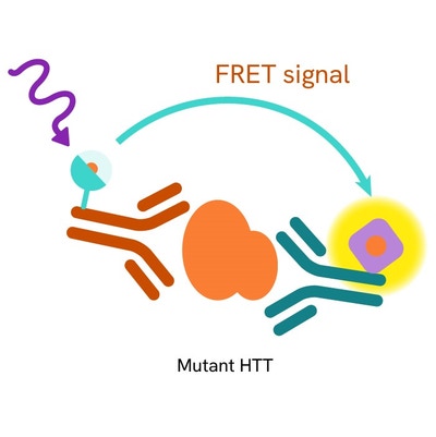 Mutant HTT Product Image
