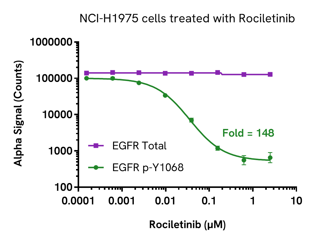 Rociletinib inhibits EGFR phosphorylation in NCI-H1975 cells