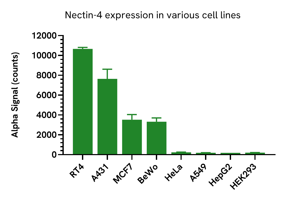 Nectin-4 expression in various cell lines