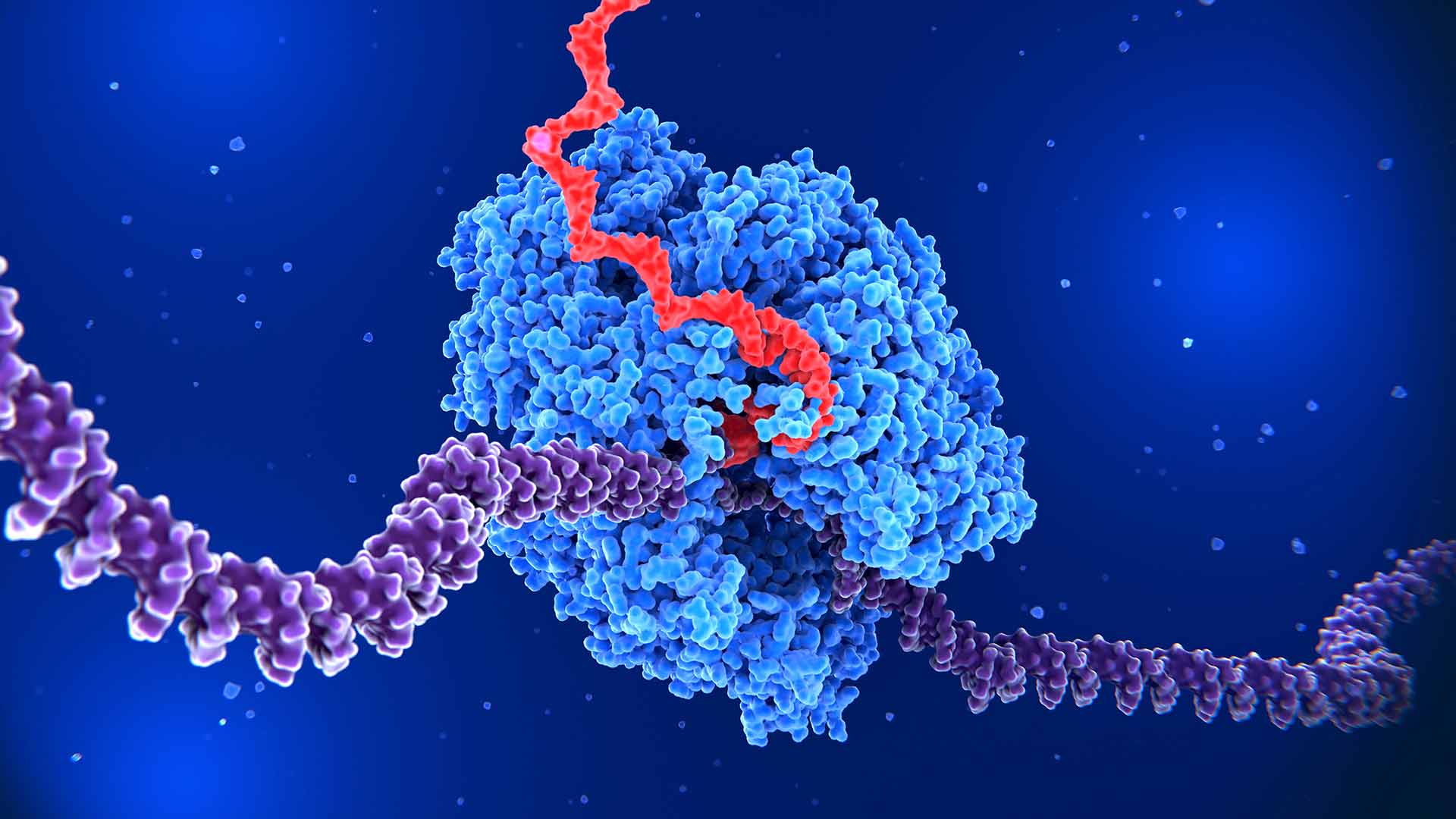 Why Strandedness Matters in RNA thumbnail