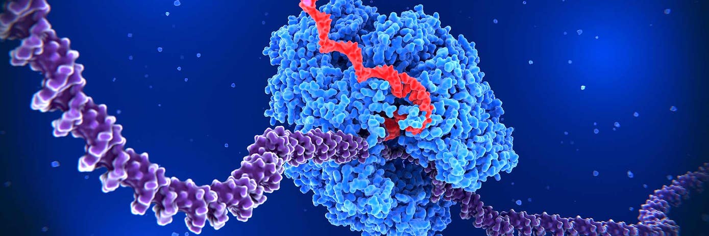 Why Strandedness Matters in RNA -seq hero