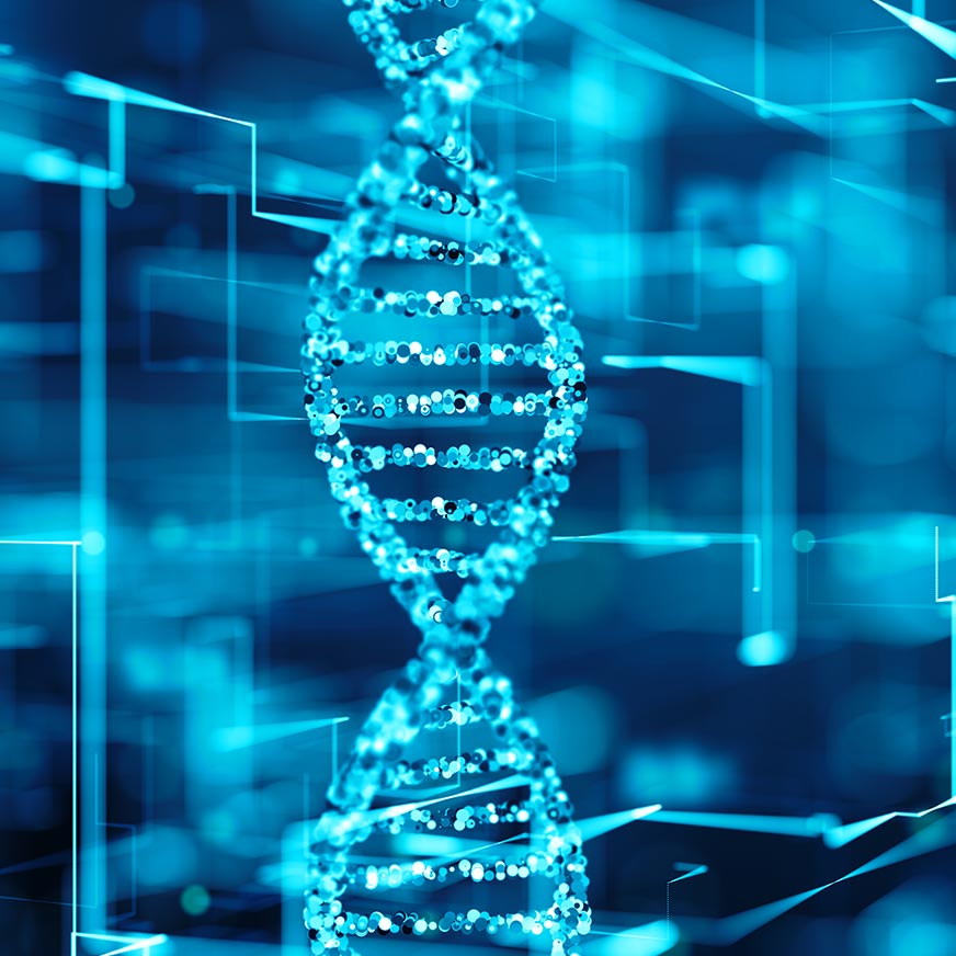 nextflex accessory hero