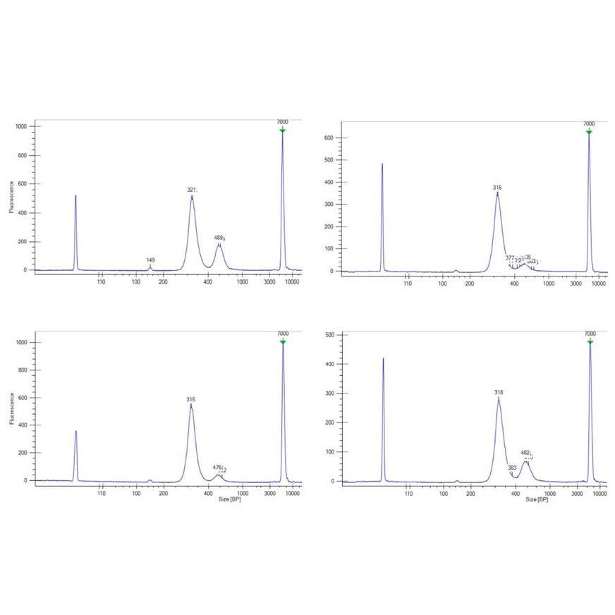 nextflex cell free dna seq library profile 10ng