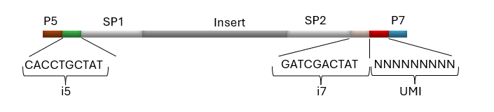 Diagram of a NEXTFLEX UDI UMI library molecule with P5/P7 flow cell sites, SP1/SP2 sequencing primer sites, 10 bp i5/i7 UDIs, 9 bp UMI, and sample DNA/RNA insert.