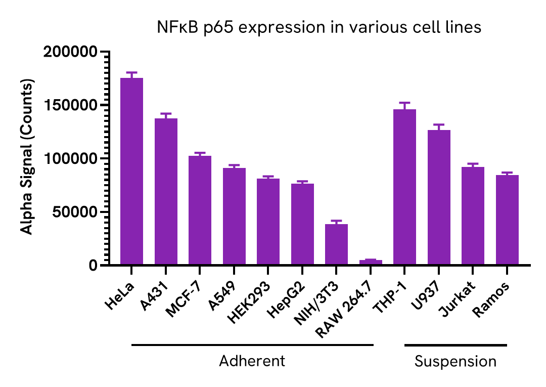 Versatility of Total NFκB p65 assay in various cell lines