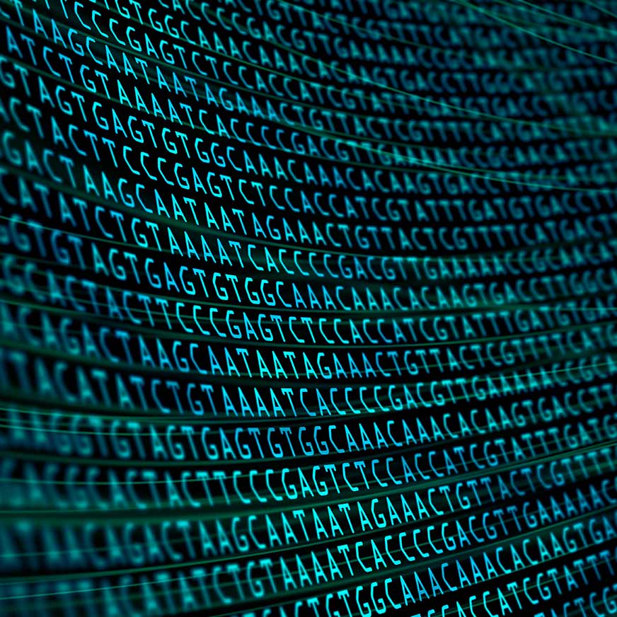 NGS Certified Lab List