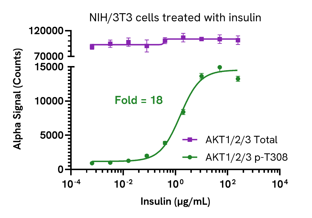 Activation of AKT1/2/3 Phospho (Thr308) in insulin treated cells