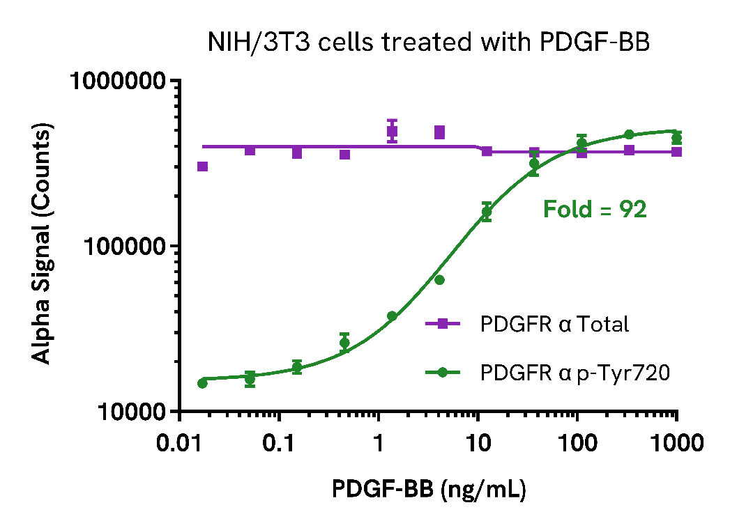 PDGF Receptor α activation in cells treated with PDGF-BB