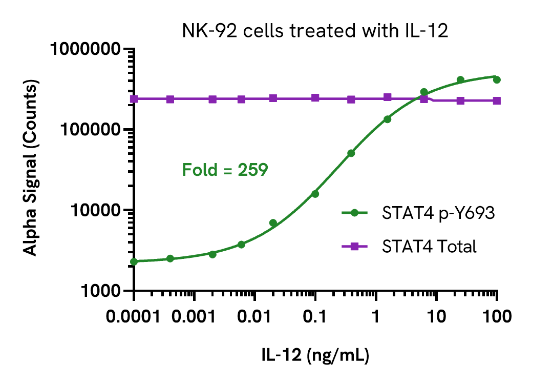Activation of STAT4 Phospho (Tyr693) in NK-92 cells
