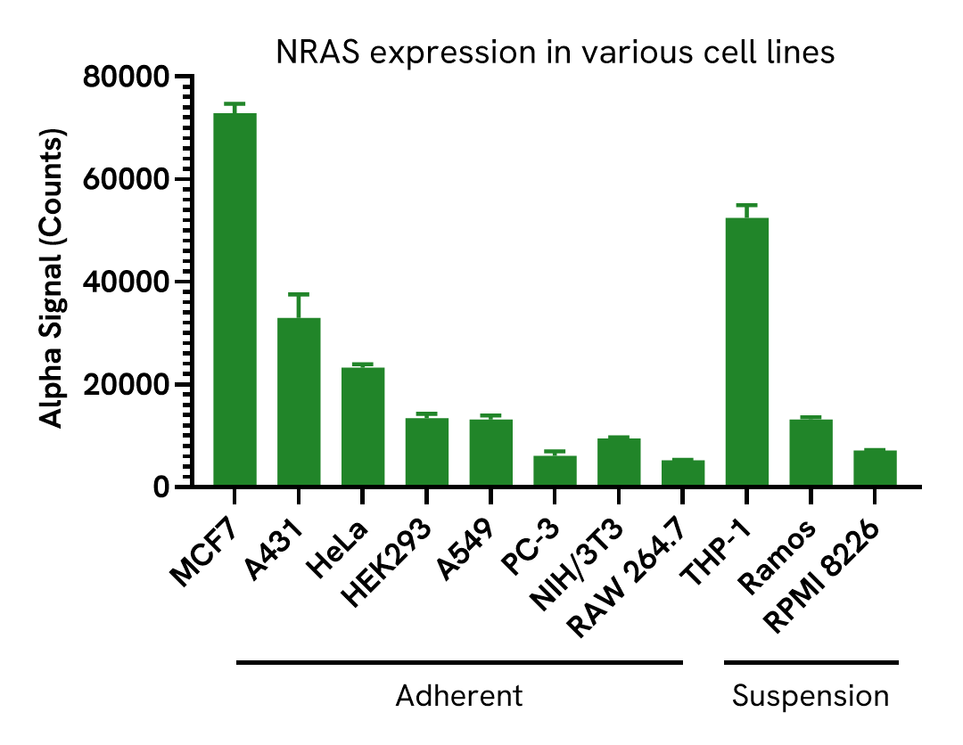 Versatility of NRAS Total assay in various cell lines
