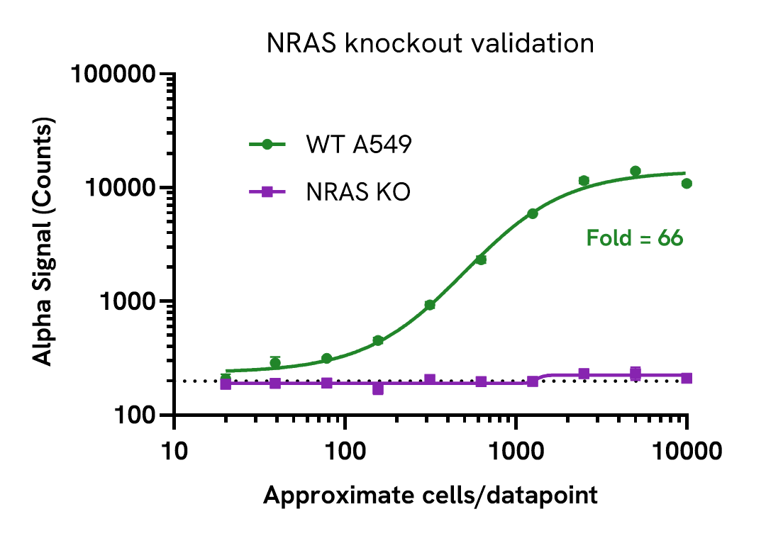 Knockout validation of NRAS Total Assay