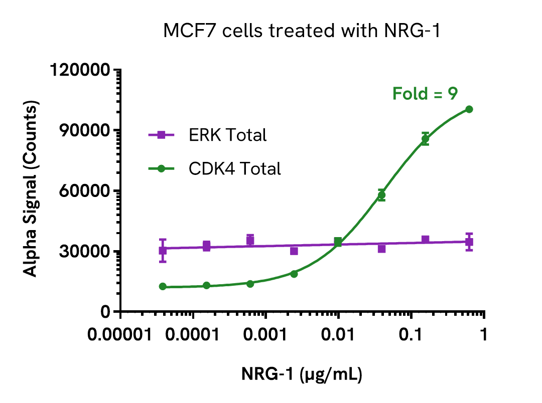 Pharmacological Validation (Inhibition) of CDK4 Total assay