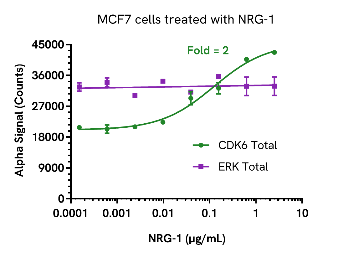 Pharmacological Validation (Inhibition) of CDK6 Total assay
