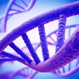 nucleic acid isolation