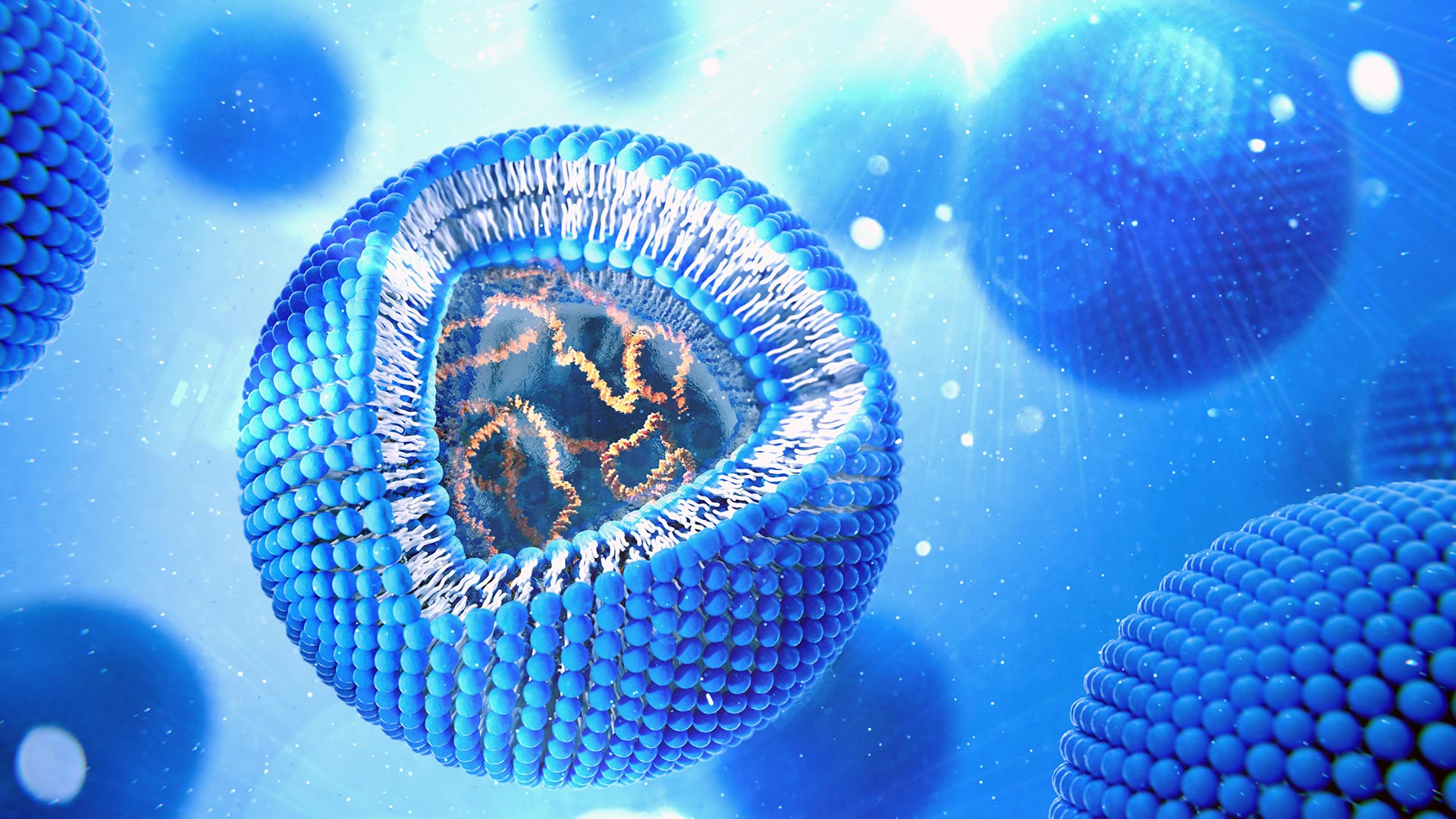thumbnail oligonucleotide
