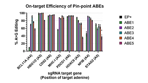 On target efficiency