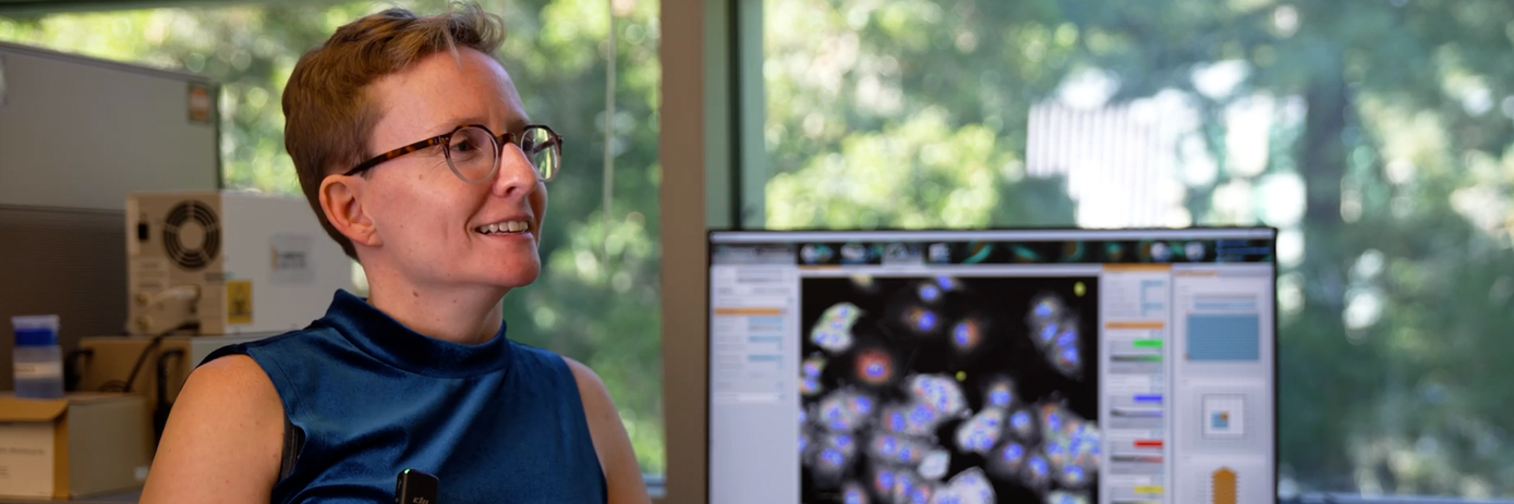 opera phenix blog hero