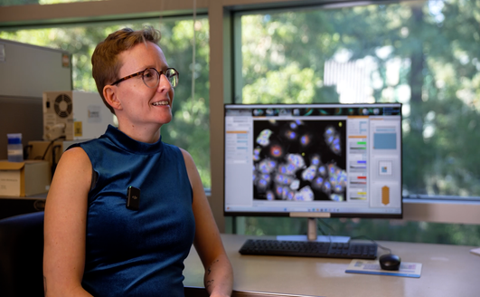 opera phenix blog thumbnail