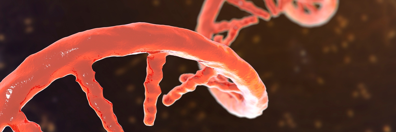Optimizing Small RNA-Seq with Spike-In Controls