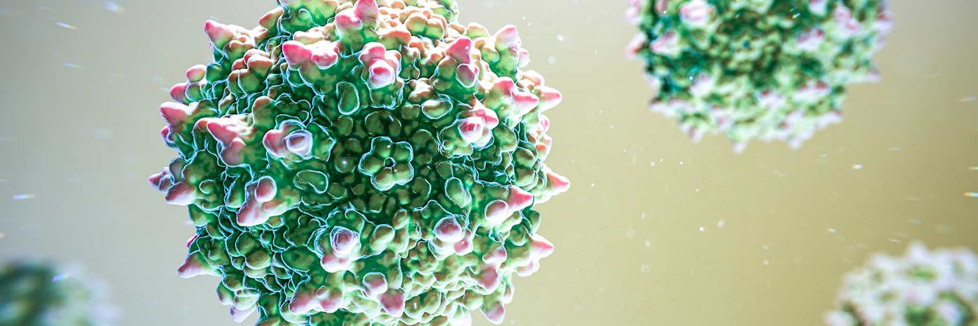 optimizing transfection parameters using doe