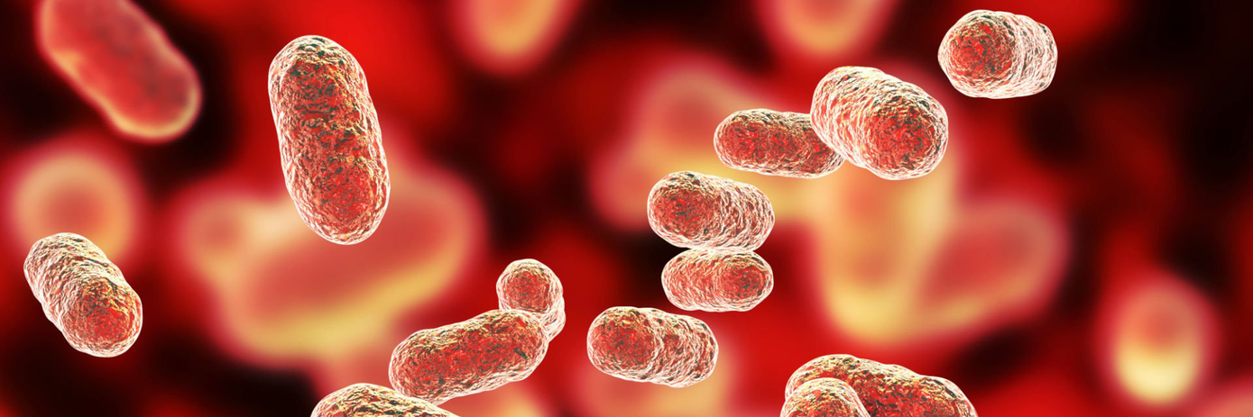 img-oral-microbiome1920x640