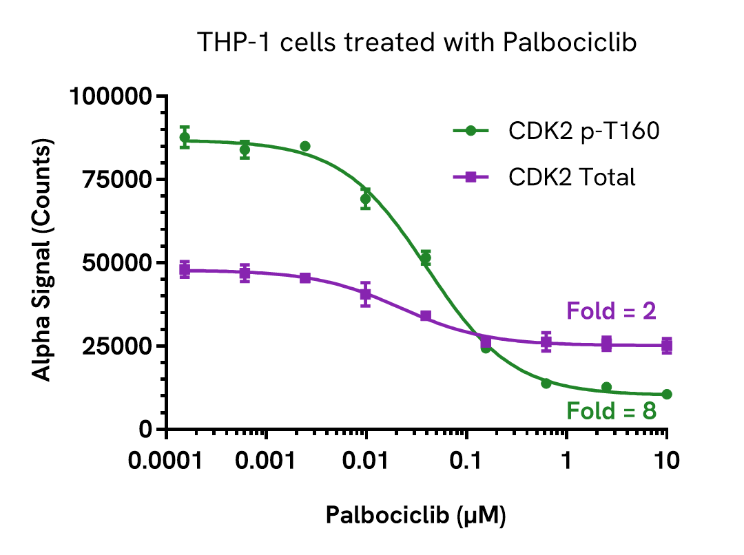 Pharmacological Validation (Activation) of CDK2 Total assay