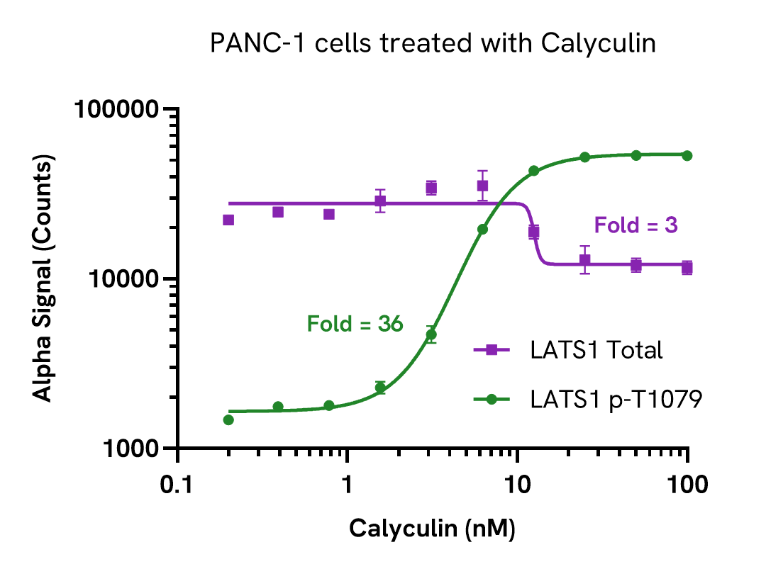 Pharmacological validation – Phospho LATS1