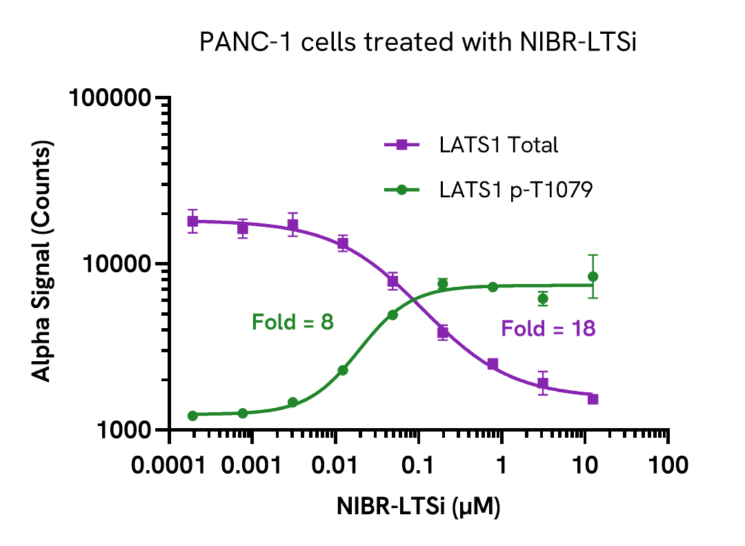 Pharmacological validation – Phospho LATS1