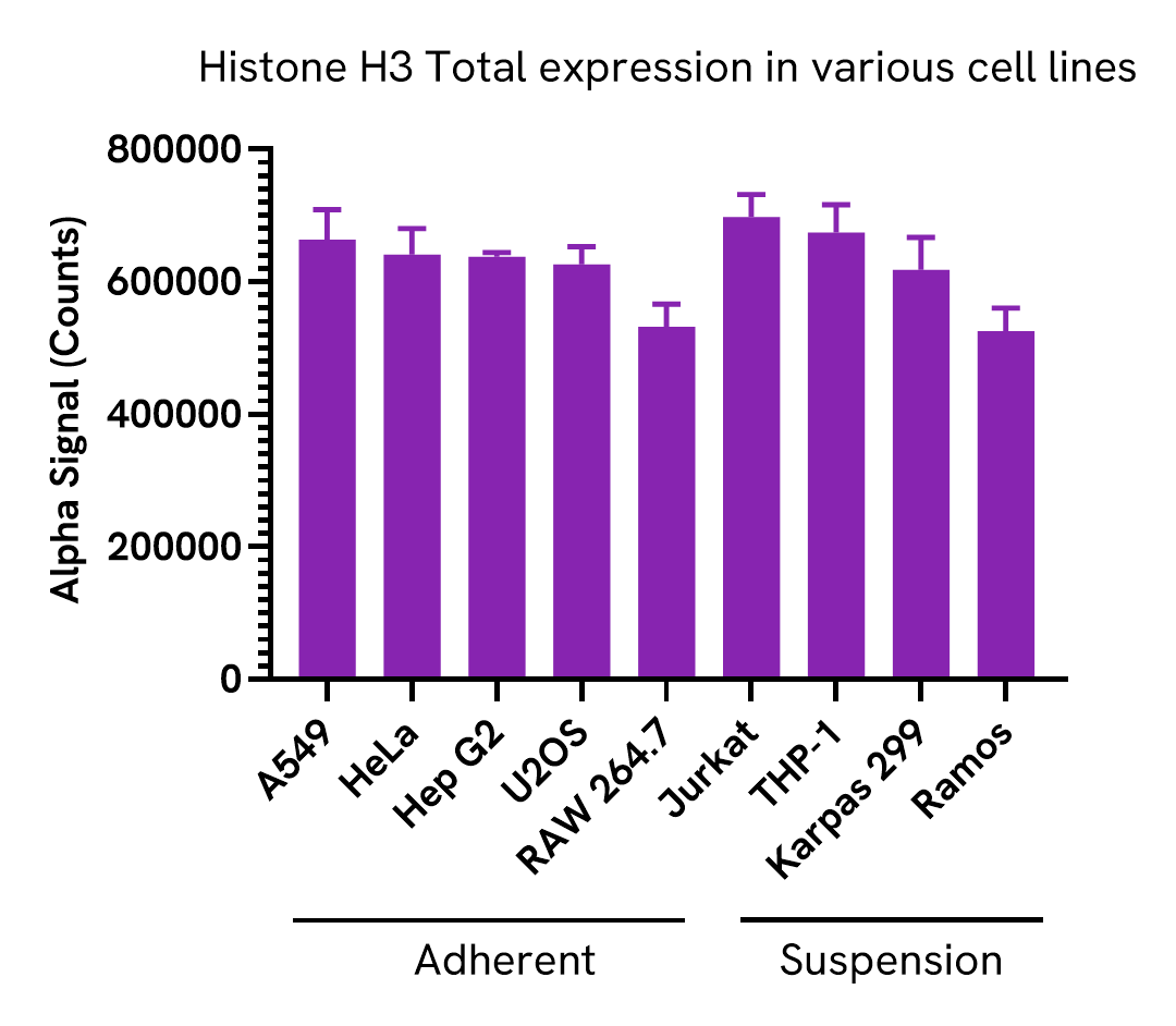 Versatility of Histone H3 Total assay in various cell lines