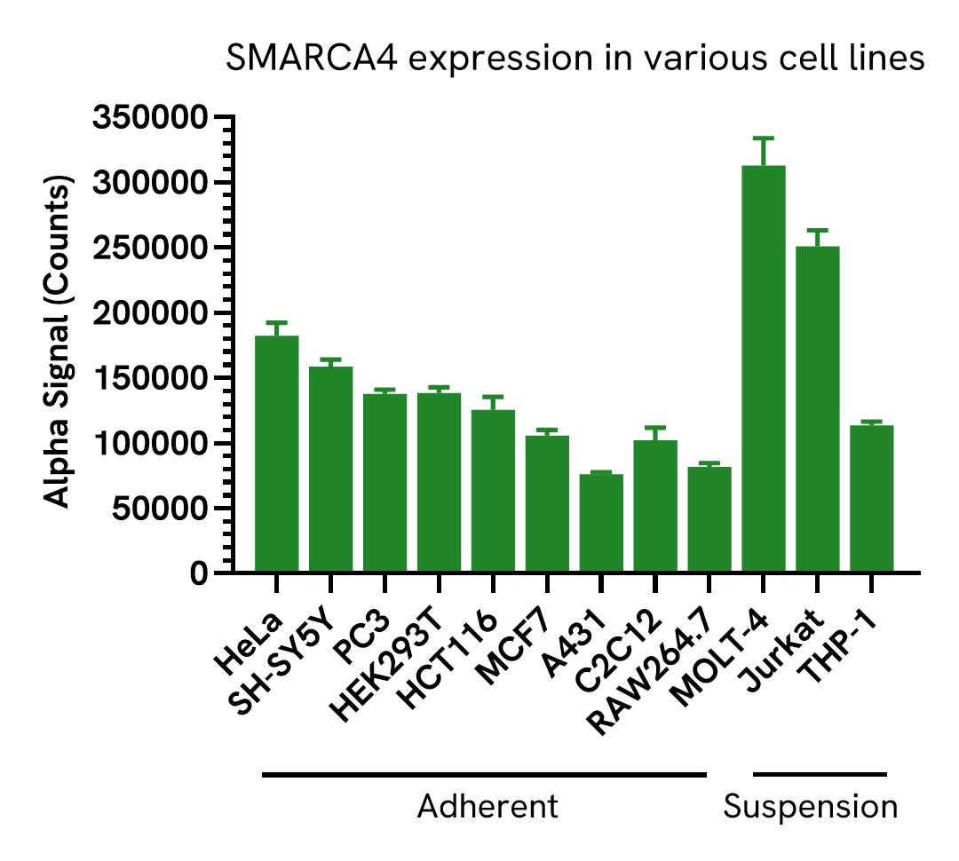 Versatility of SMARCA4 Total assay in various cell lines