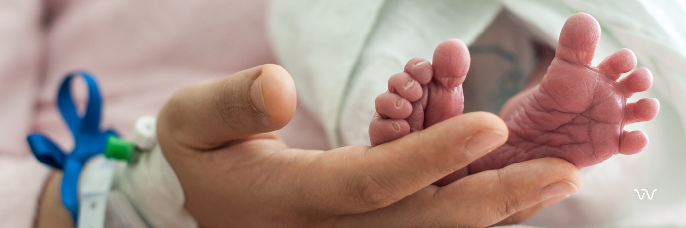 Partnering with Purpose: The NSW Newborn Screening Programme with advanced automation 