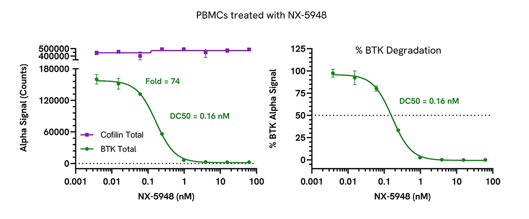 PROTAC-mediated degradation of BTK in PBMCs