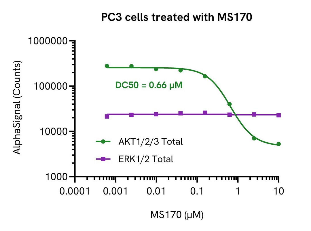 PC3 cells treated with MS170