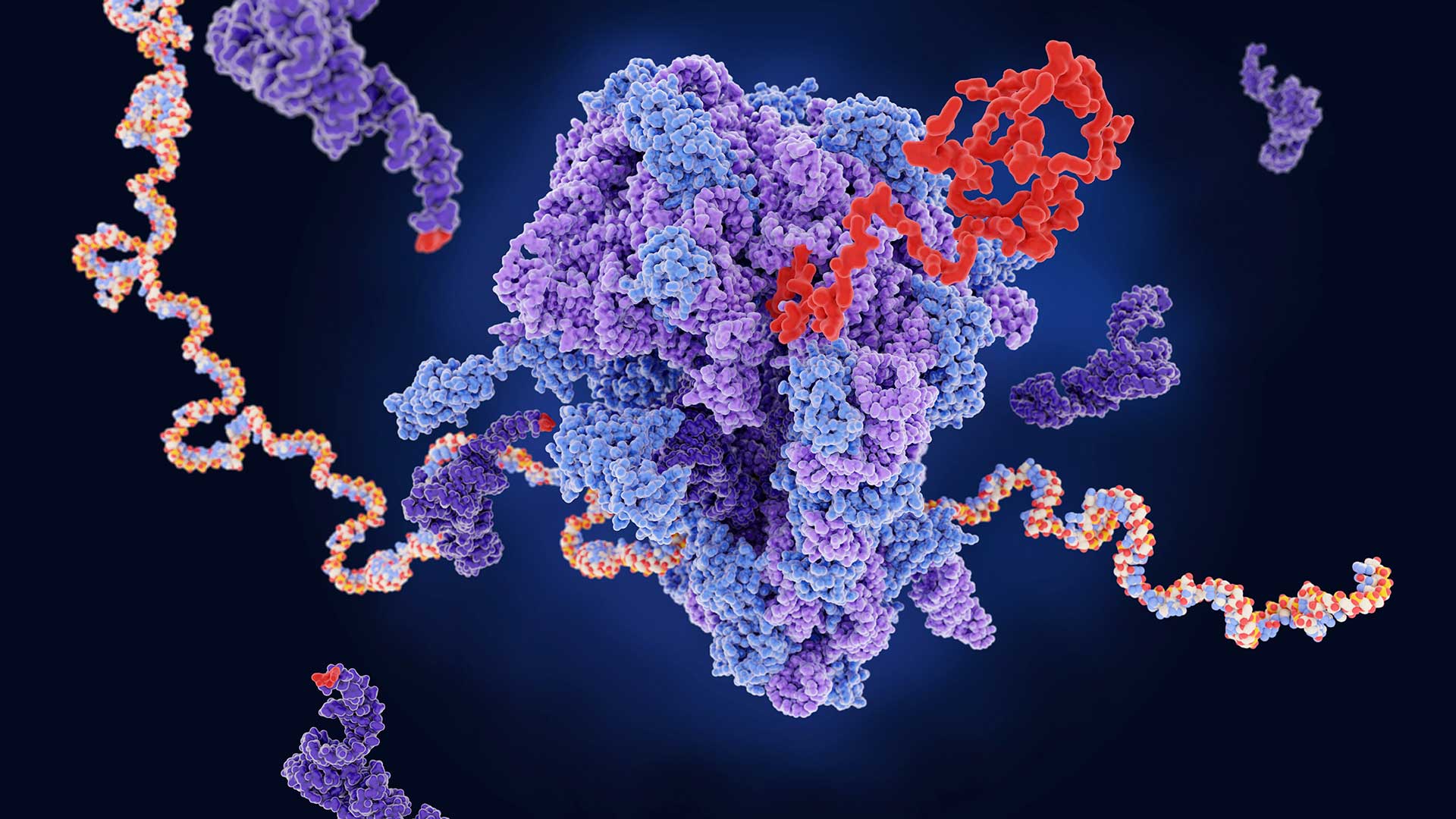 Ribosome Profiling (Ribo-seq) for Drug Discovery Screens | Revvity