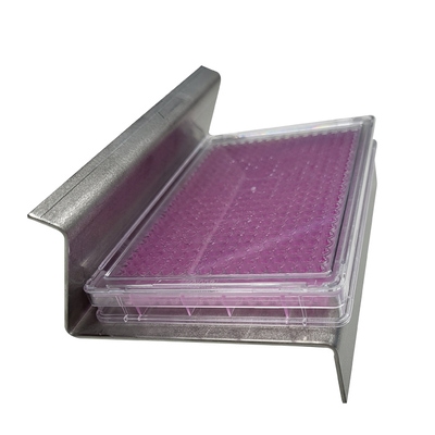 PhenoPlate 3D Dual‑Angle Fixed Stand