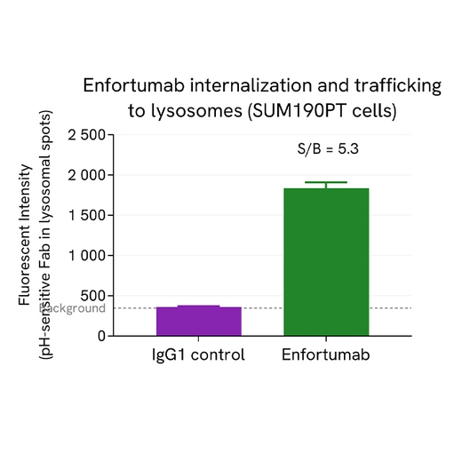 PhenoVue Human IgG Antibody Internalization Kit (Fluor 515, pH sensitive)