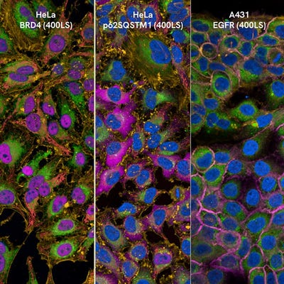 PhenoVue Cell Painting Target Add-on Kit