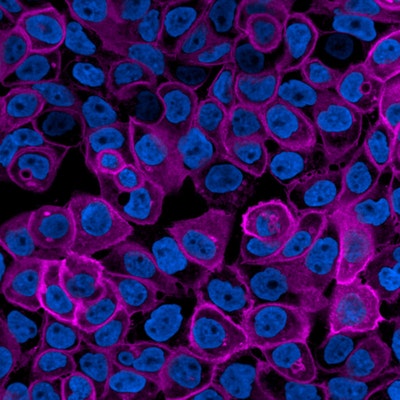 PhenoVue Fluor 400LS - Goat Anti-Rabbit Antibody Highly Cross-Adsorbed