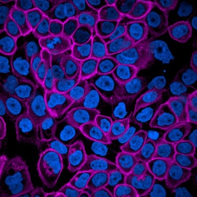 PhenoVue Fluor 400LS - Goat Anti-Rat Antibody Highly Cross-Adsorbed