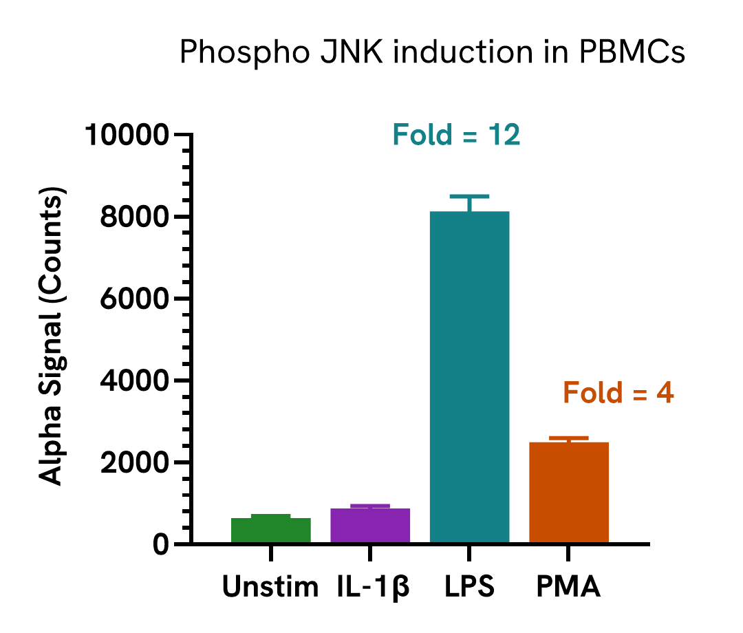Induction of JNK phosphorylation in various cell types
