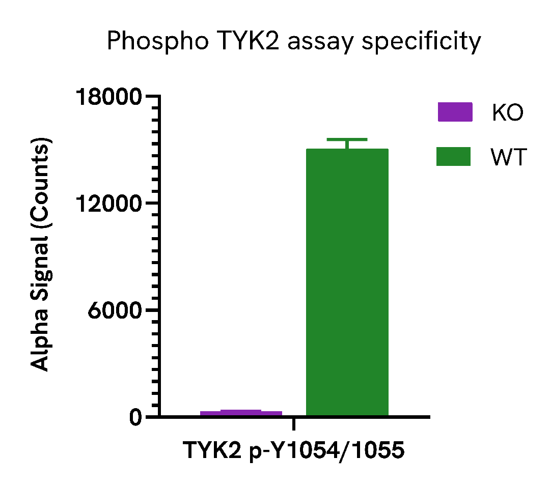 Specificity of Phospho TYK2 (Tyr1054/1055) assay