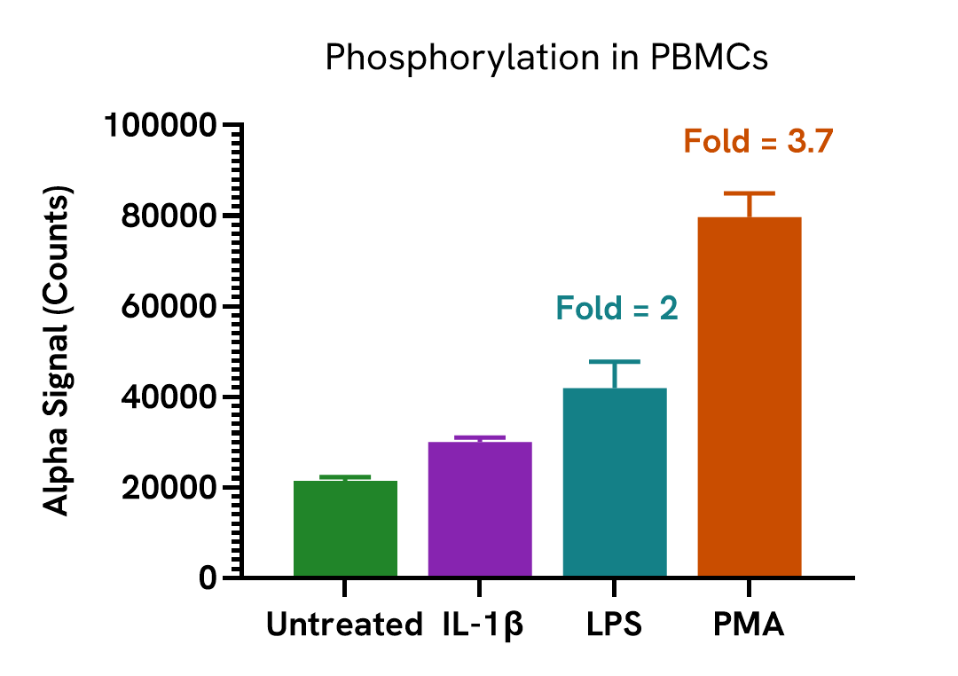 Activation of Phospho NFκB p65 in PBMCs and primary macrophages